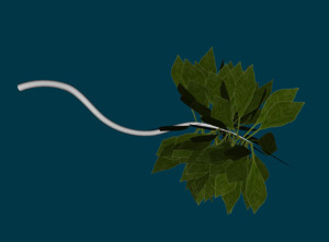 LeafyStick1.jpg